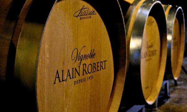 Aire Vignoble Alain Robert — photo 3